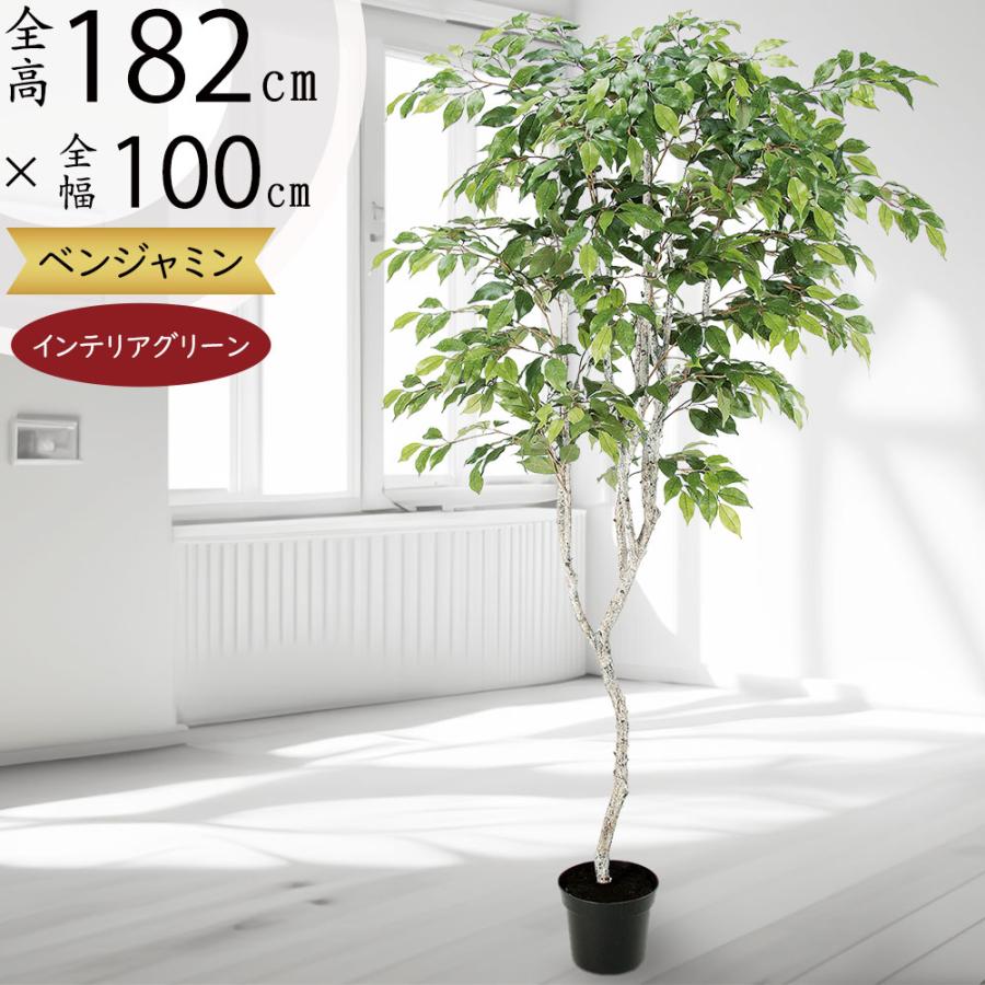 手数料安い 人工観葉植物 全高1 m ファイカス ツリー 人工樹木 造花 フェイクグリーン インテリアグリーン A501 人工観葉植物 と造花の通販ケイシン 通販 Yahoo ショッピング 国内最安値 Www Maxipiso Com Ar