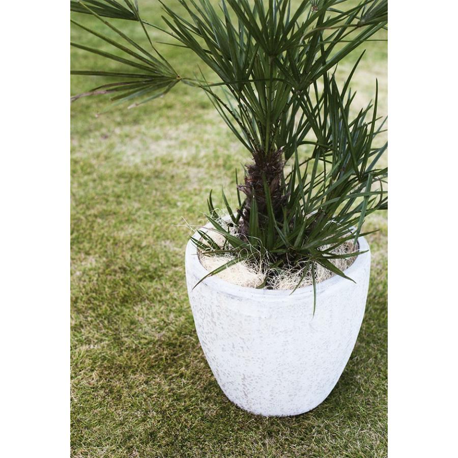 植木鉢 おしゃれ プランター 観葉植物 アビス ソニア ミドル S10号 :ab