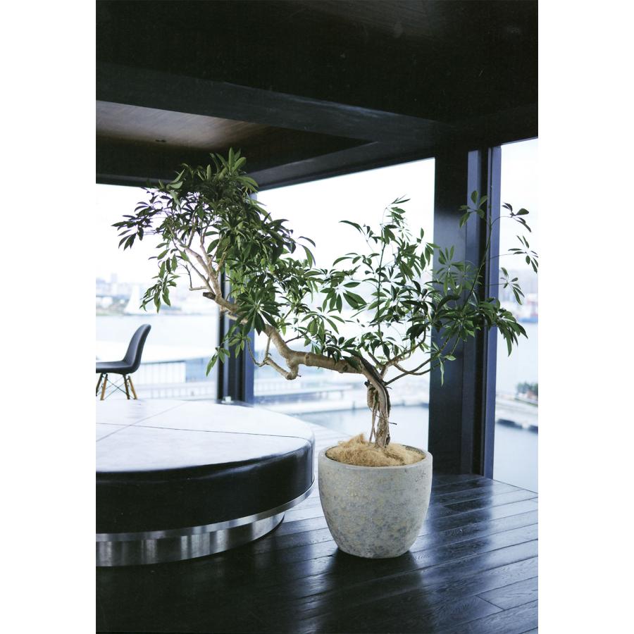 植木鉢 おしゃれ 大型 プランター 観葉植物 人気 おすすめ 園芸