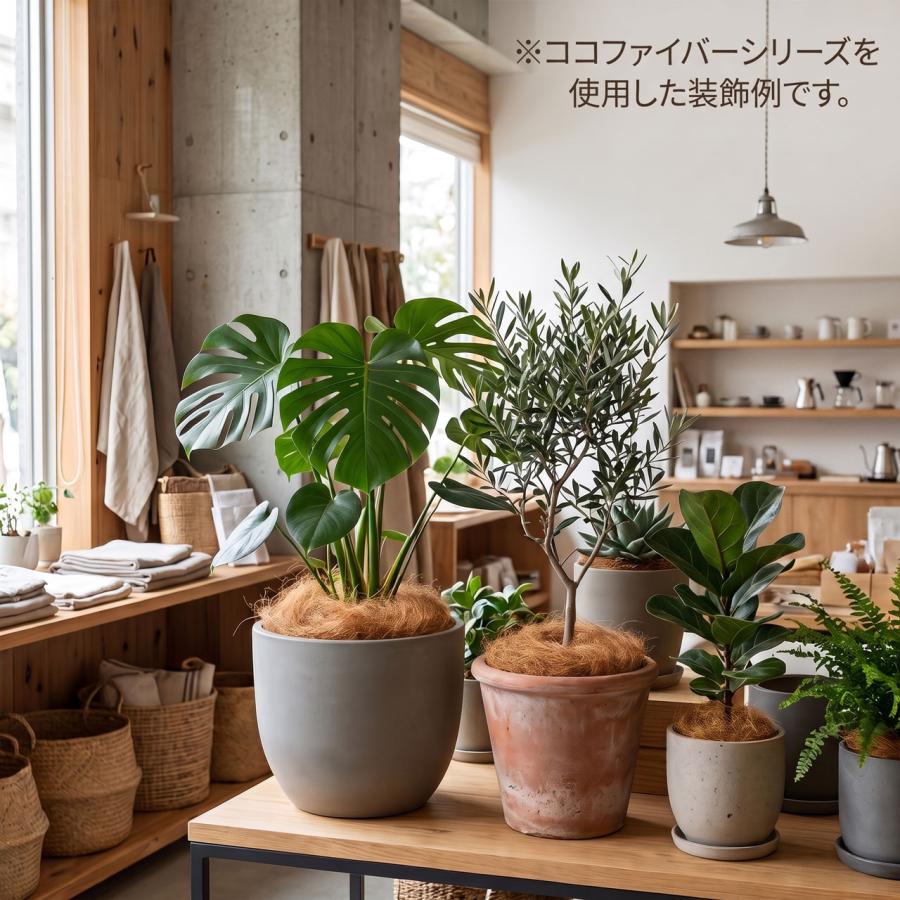 ココファイバー おしゃれ 人気 ココヤシ繊維 天然ヤシ 天然素材 自然