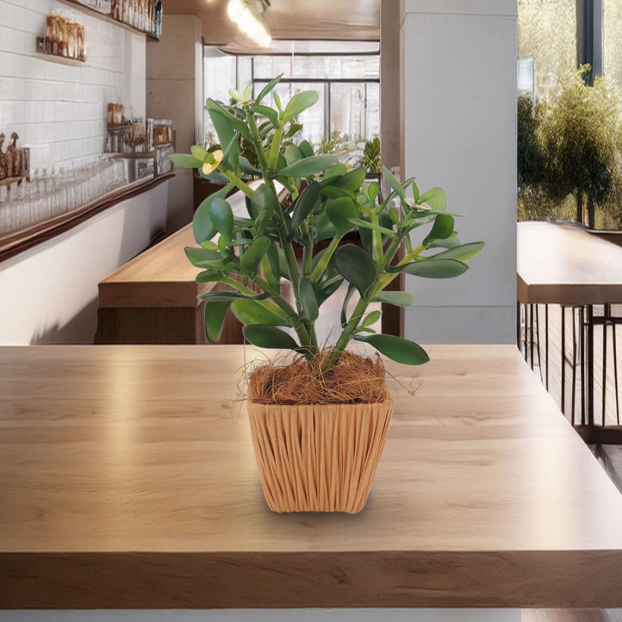 木製インテリア装飾 自然木形状 Amazon.co.jp: HIGHAWK鳥 バード 木製 飾り 玄関先 置物 動物