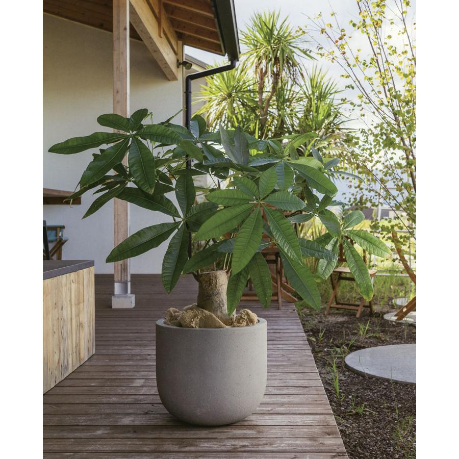 植木鉢 おしゃれ 大型 プランター 観葉植物 園芸 ガーデニング 植木鉢 おしゃれ 大型 プランター 観葉植物 園芸 ガーデニング