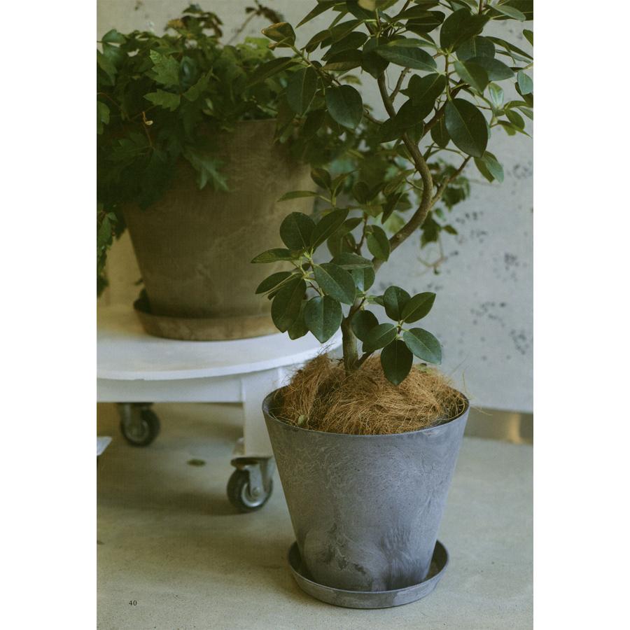 植木鉢 大型 おしゃれ プランター 人気 おすすめ 園芸用品 観葉植物