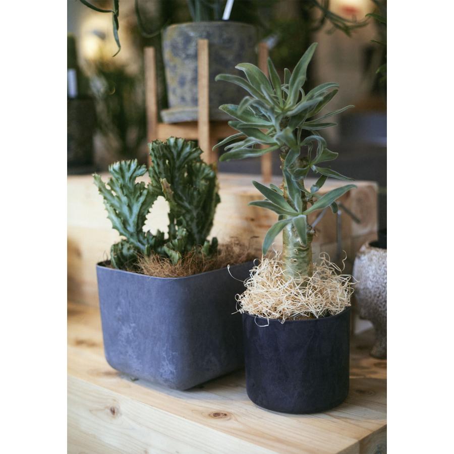 植木鉢 おしゃれ プランター 人気 おすすめ 園芸用品 観葉植物