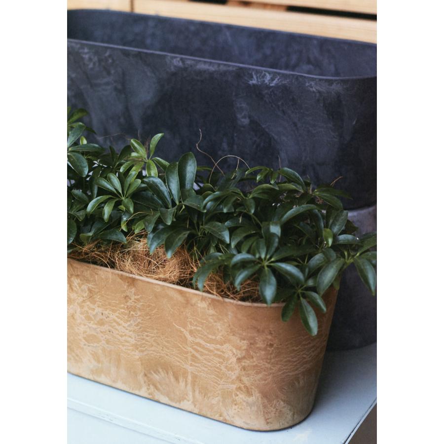 植木鉢 おしゃれ プランター 人気 おすすめ 園芸用品 観葉植物 器