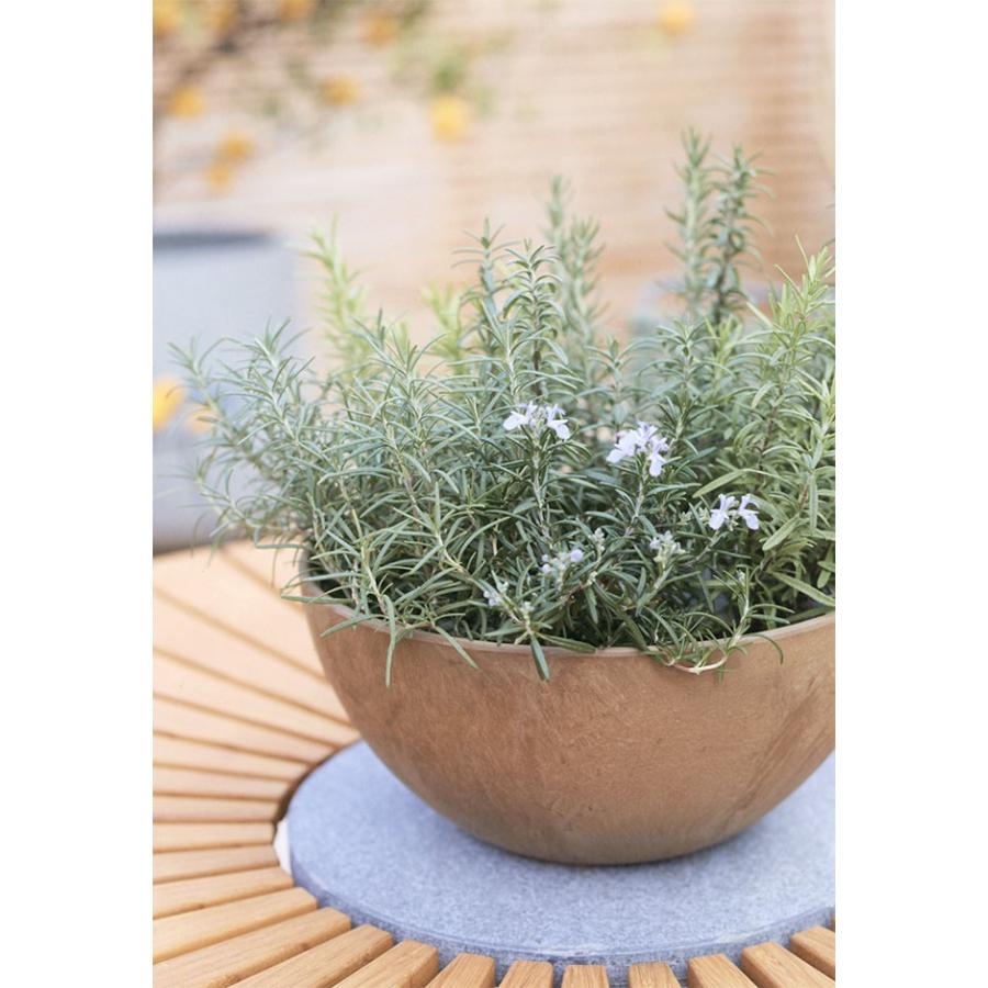 植木鉢 おしゃれ プランター 人気 おすすめ 園芸用品 観葉植物 器