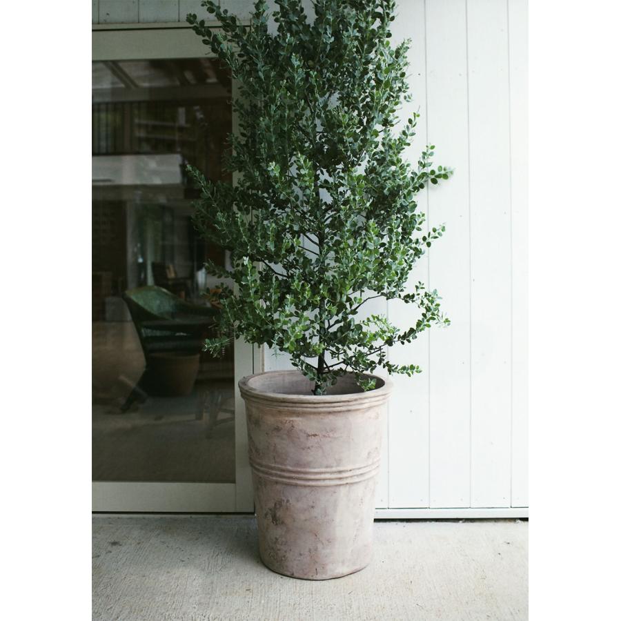 植木鉢 テラコッタ 大型 おしゃれ プランター 人気 おすすめ 観葉植物