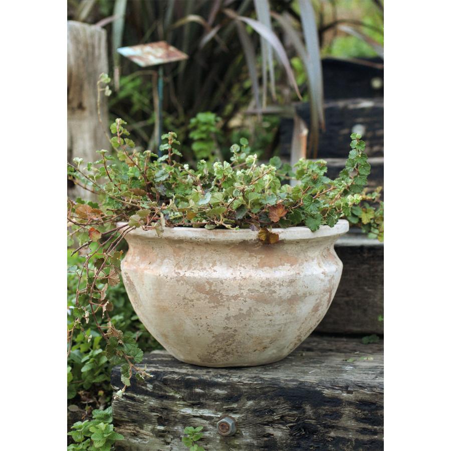 植木鉢 テラコッタ 大型 おしゃれ プランター 人気 おすすめ 観葉植物 