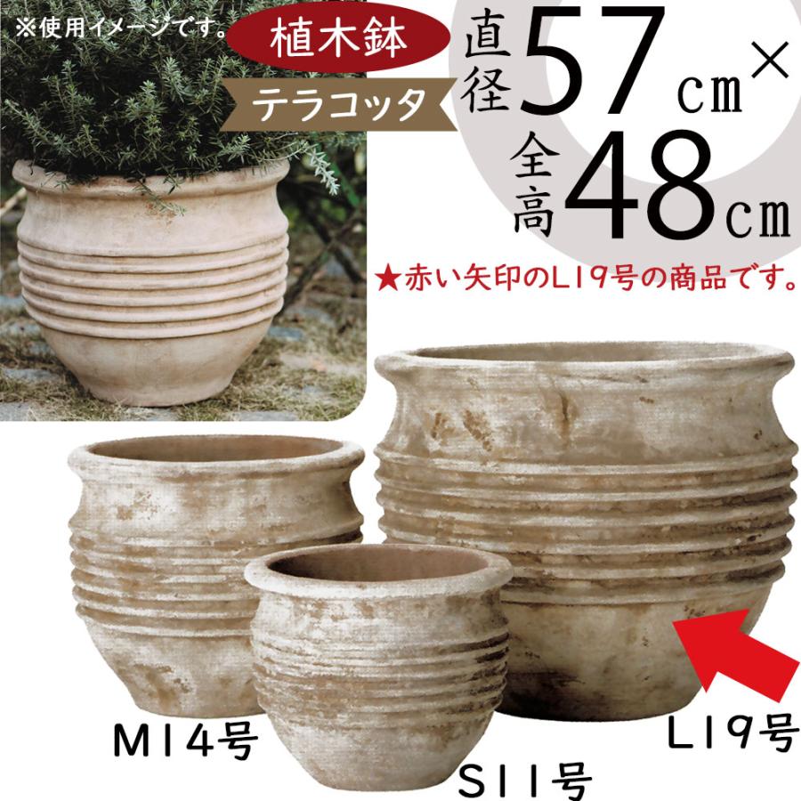 植木鉢 テラコッタ 大型 おしゃれ プランター 人気 おすすめ 観葉植物 