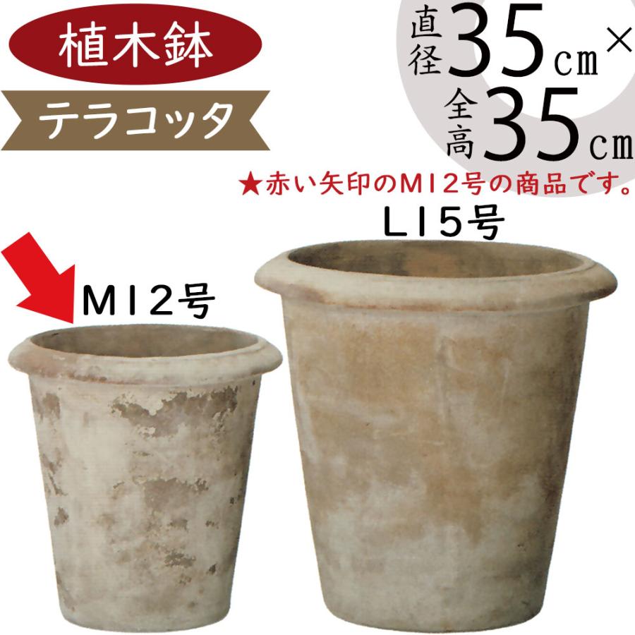 植木鉢 テラコッタ 大型 おしゃれ プランター 人気 おすすめ 観葉植物 