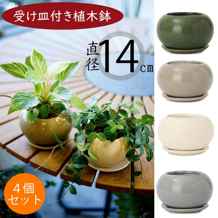 植木鉢 小型 おしゃれ 人気 プランター 観葉植物 ミニ観葉 植木鉢 小型 おしゃれ 人気 プランター 観葉植物 ミニ観葉
