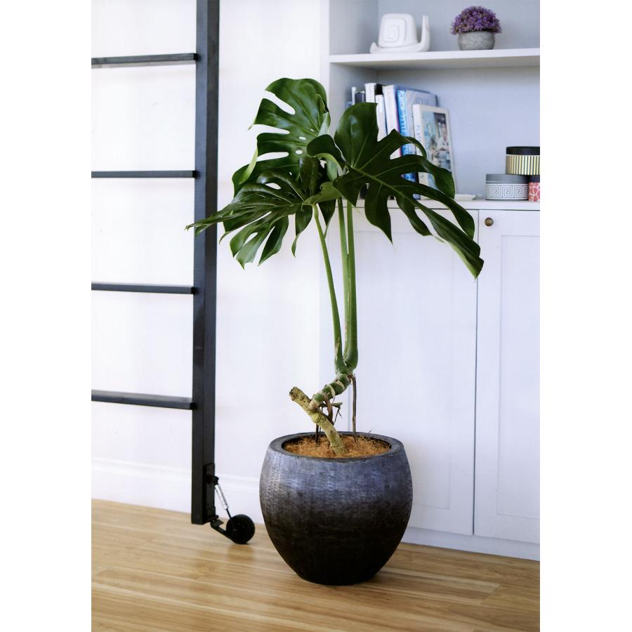 鉢カバー プランターカバー おしゃれ 大型 人気 インテリア 観葉植物