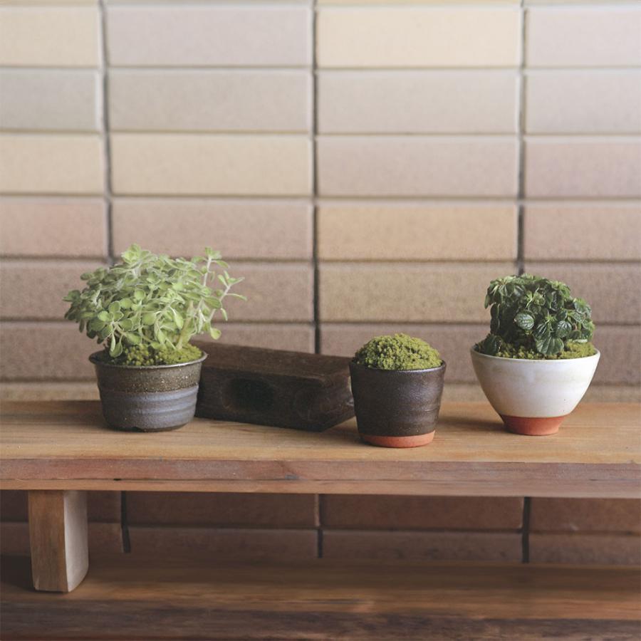 植木鉢 おしゃれ 人気 おすすめ プランター 信楽焼 国産品 日本