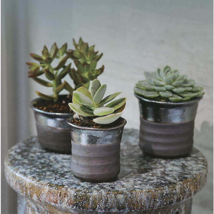 植木鉢 おしゃれ 人気 おすすめ プランター 信楽焼 国産品 日本製 観葉