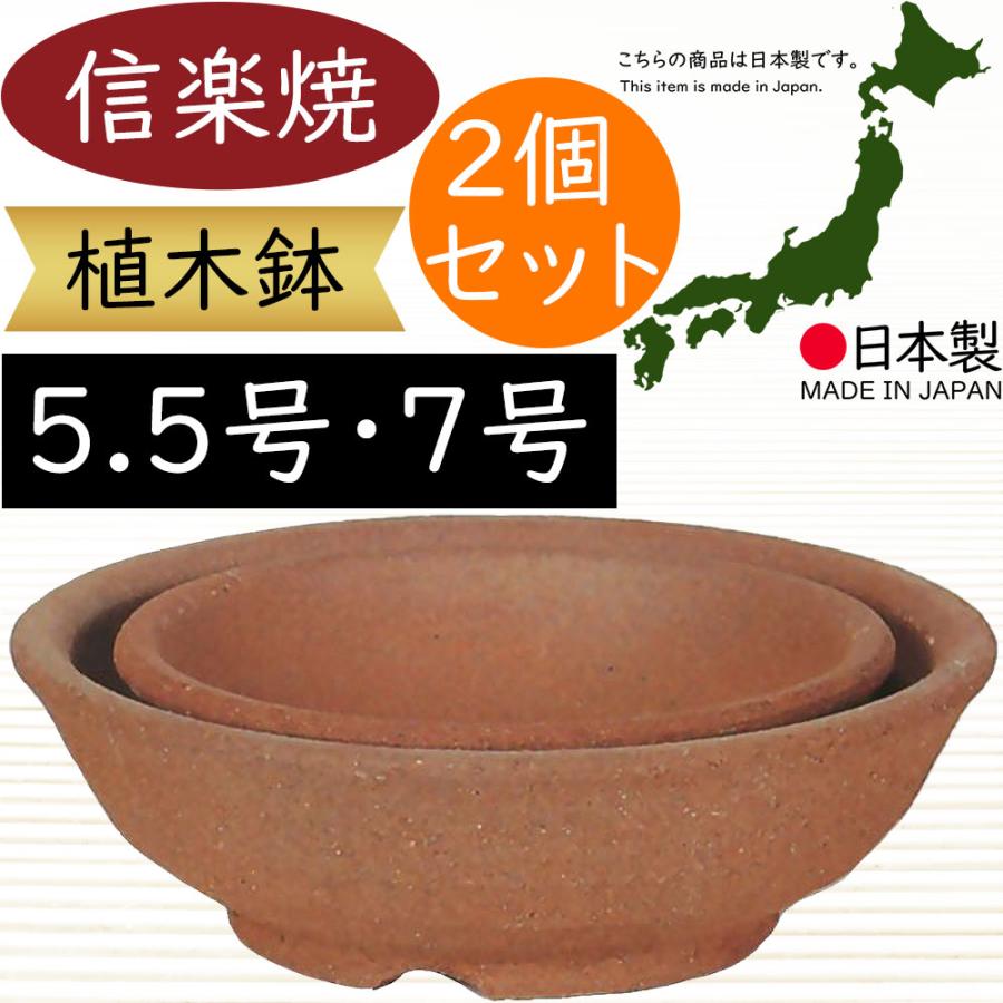 植木鉢 おしゃれ 人気 おすすめ プランター 信楽焼 国産品 日本製 観葉 
