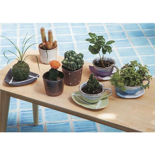 日本製 植木鉢 ドットミニ鉢 2個セット 3号 全高7 5cm 幅8 5cm 信楽焼 しがらきやき 陶器製 陶器鉢 焼き物 底穴あり プランター ポット B9072 07 人工観葉植物と造花の通販ケイシン 通販 Yahoo ショッピング