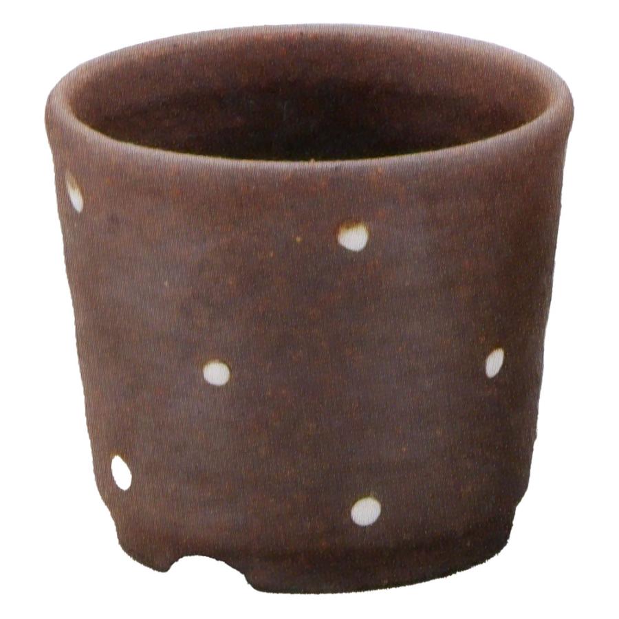 信楽焼 プランター 楽天市場】植木鉢 おしゃれ 人気 おすすめ プランター 小型