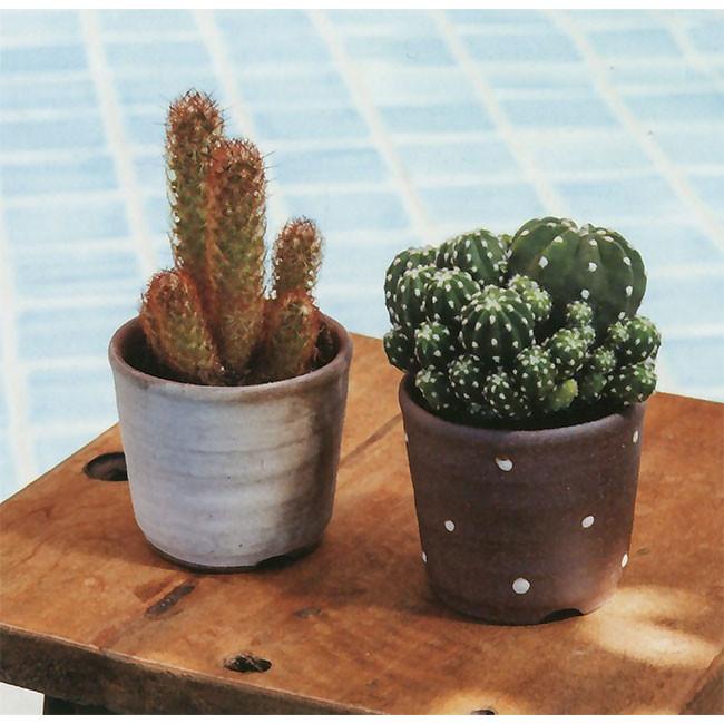 植木鉢 おしゃれ 人気 おすすめ プランター 信楽焼 国産品 日本