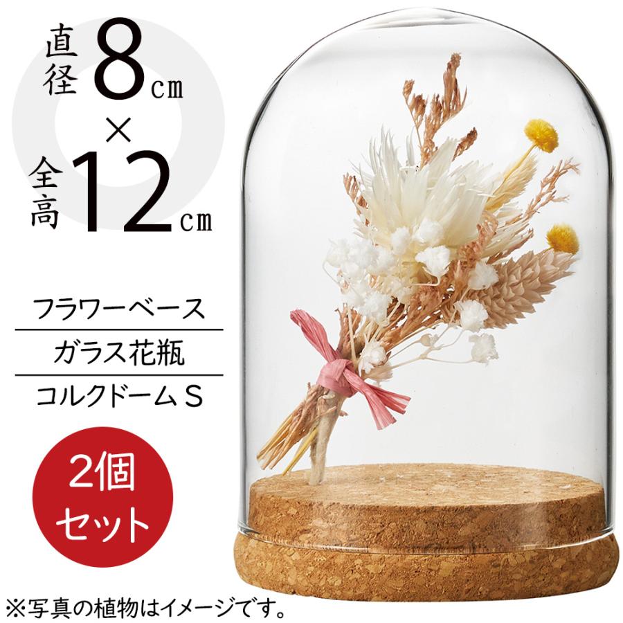 ドームガラス コルク おしゃれ フラワーベース 人気 おすすめ ガラス