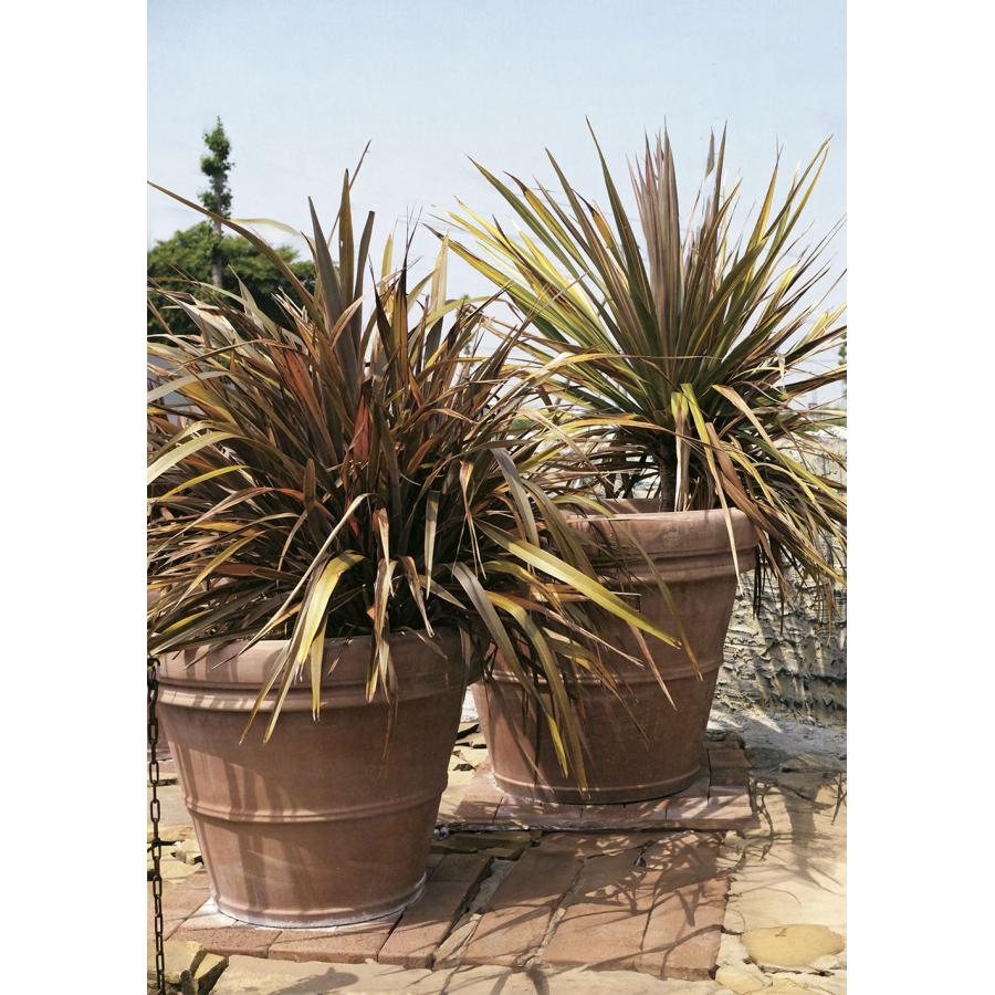 植木鉢 テラコッタ おしゃれ 大型 特大 プランター 観葉植物 植木鉢 テラコッタ おしゃれ 大型 特大 プランター 観葉植物