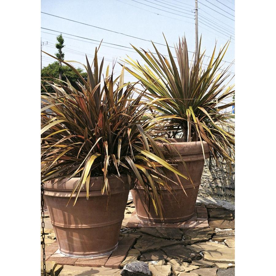 法人様専用 植木鉢 テラコッタ ベノッチ リムポット112 大型 37号 全高90cm 直径112cm 底穴あり イタリア製 素焼き 陶器製 プランター おしゃれ Be 100n 人工観葉植物と造花の通販ケイシン 通販 Yahoo ショッピング