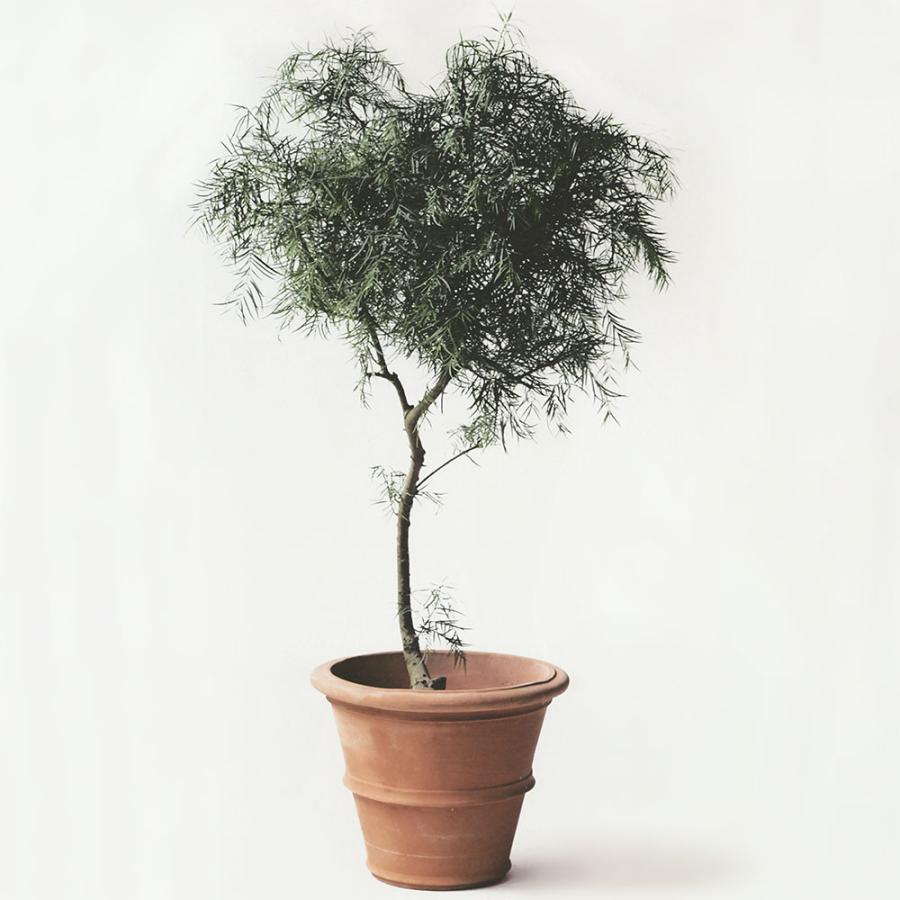 植木鉢 テラコッタ おしゃれ 大型 特大 プランター 観葉植物 園芸