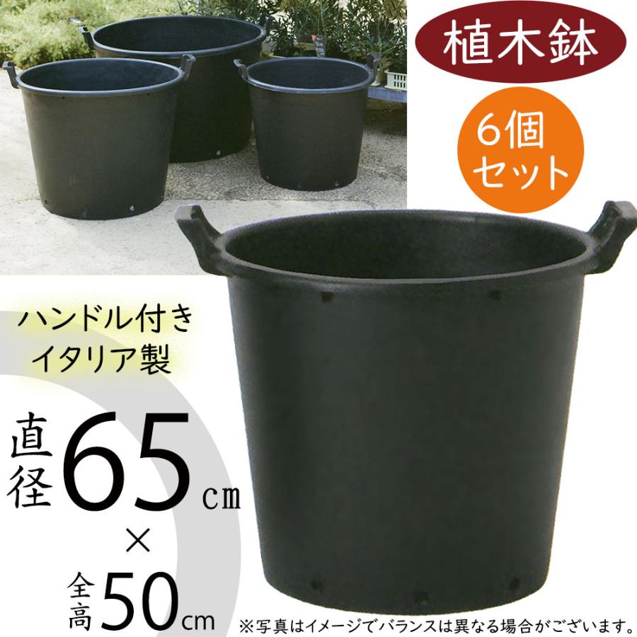 T*i様 鋳鉄製黒プランター 大型 T*i様 鋳鉄製黒プランター 大型 T*i様 鋳鉄製黒