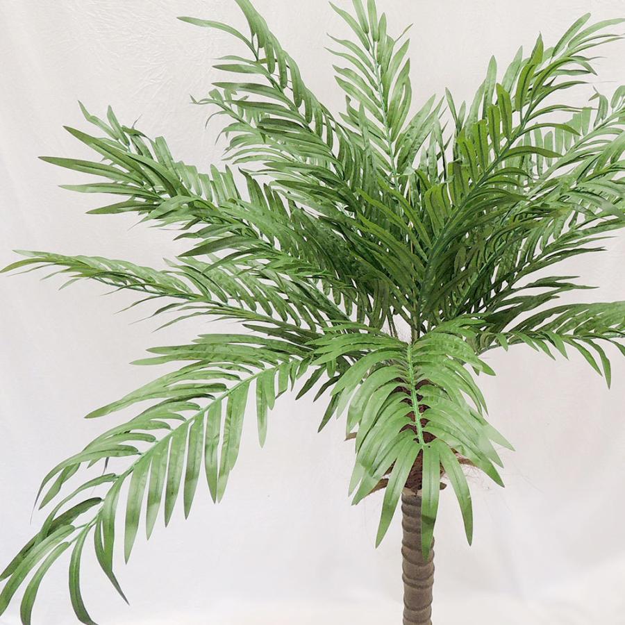 フェニックス 大型 観葉植物 人気 おしゃれ インテリアグリーン