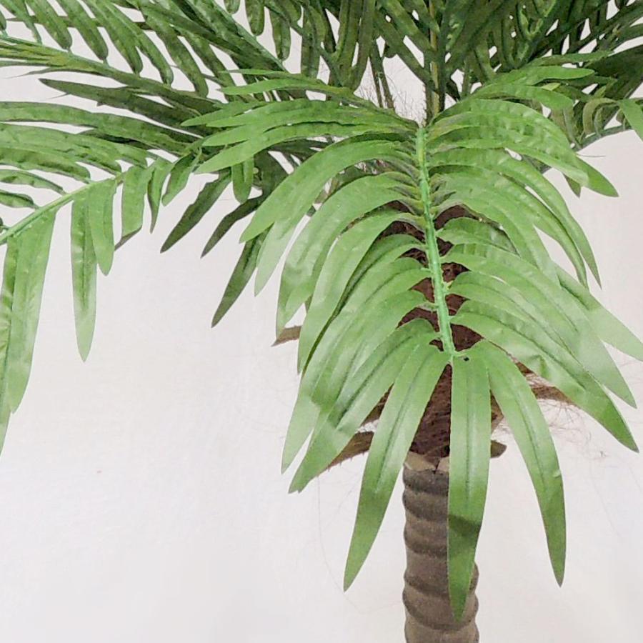 フェニックス 大型 観葉植物 人気 おしゃれ インテリアグリーン
