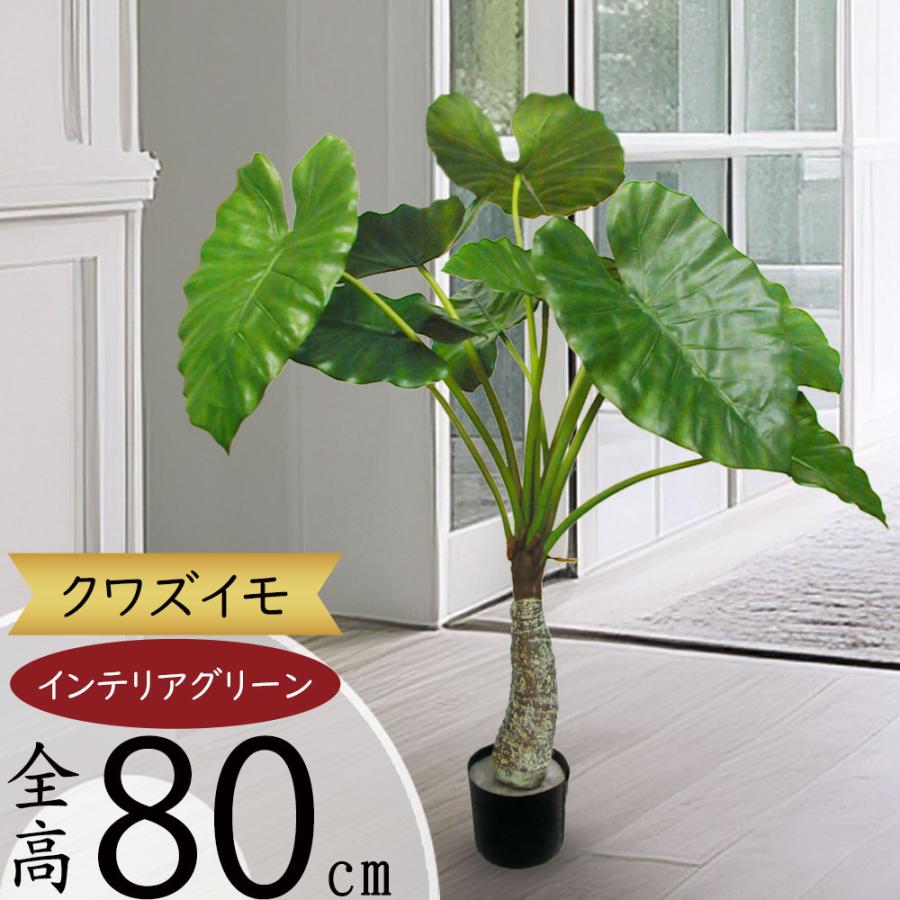 観葉植物 おしゃれ 人気 インテリアグリーン クワズイモ フェイク