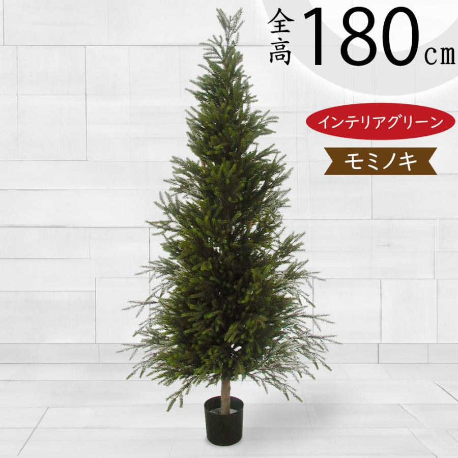 観葉植物 おしゃれ 大型 もみの木 インテリアグリーン モミの木