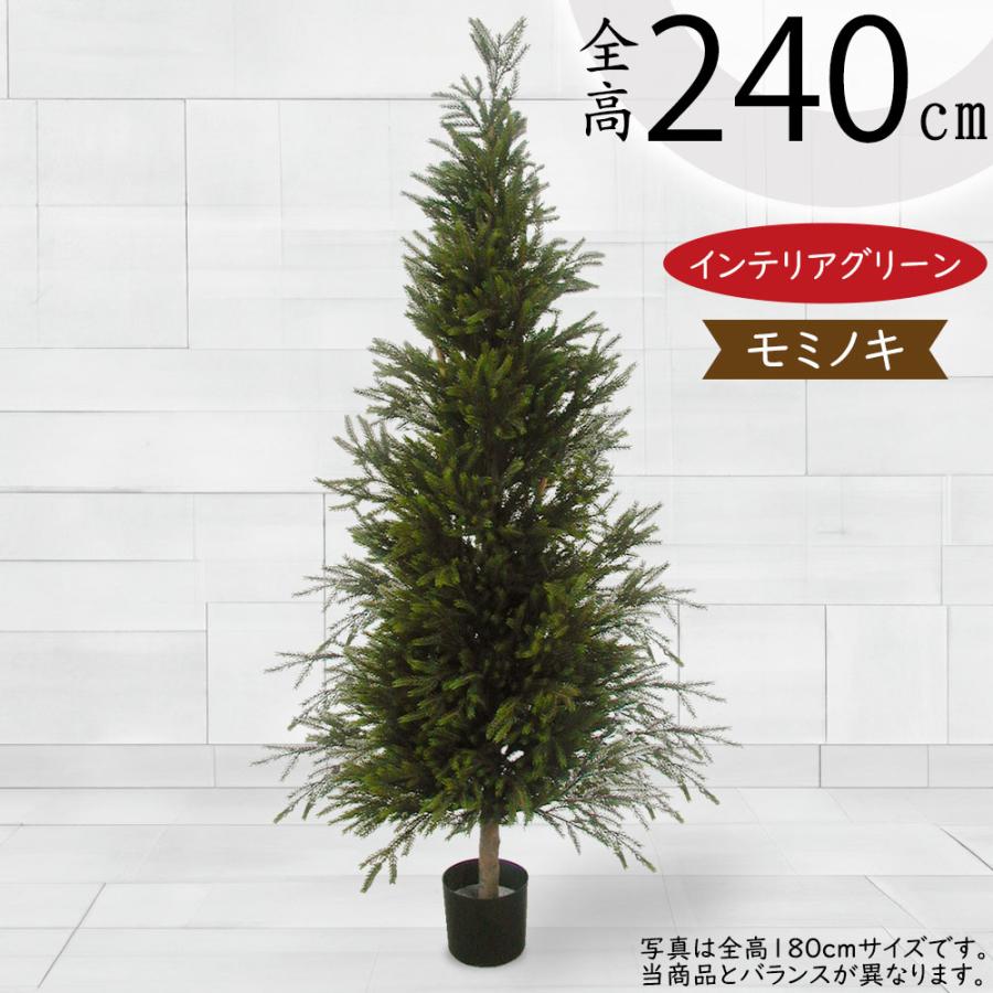 観葉植物 おしゃれ 大型 もみの木 インテリアグリーン モミの木 観葉植物 おしゃれ 大型 もみの木 インテリアグリーン モミの木