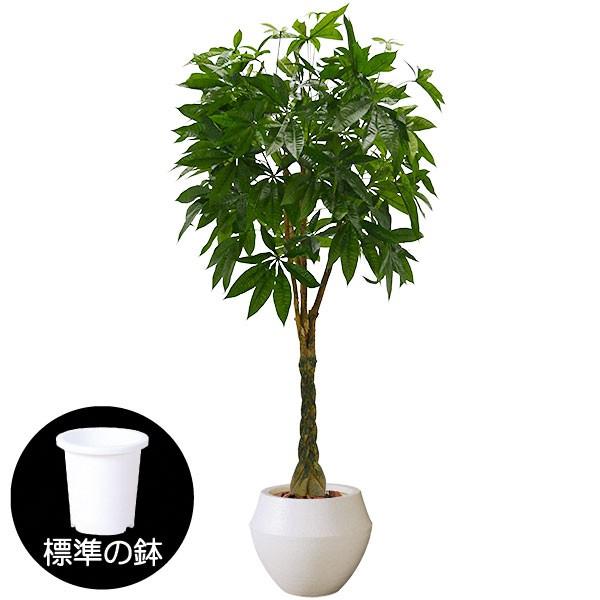 輝く高品質な パキラ 人工観葉植物 全高1 9m 配送制限あり 人工樹木 造花 インテリアグリーン フェイクグリーン 新品即決 Alburhan In