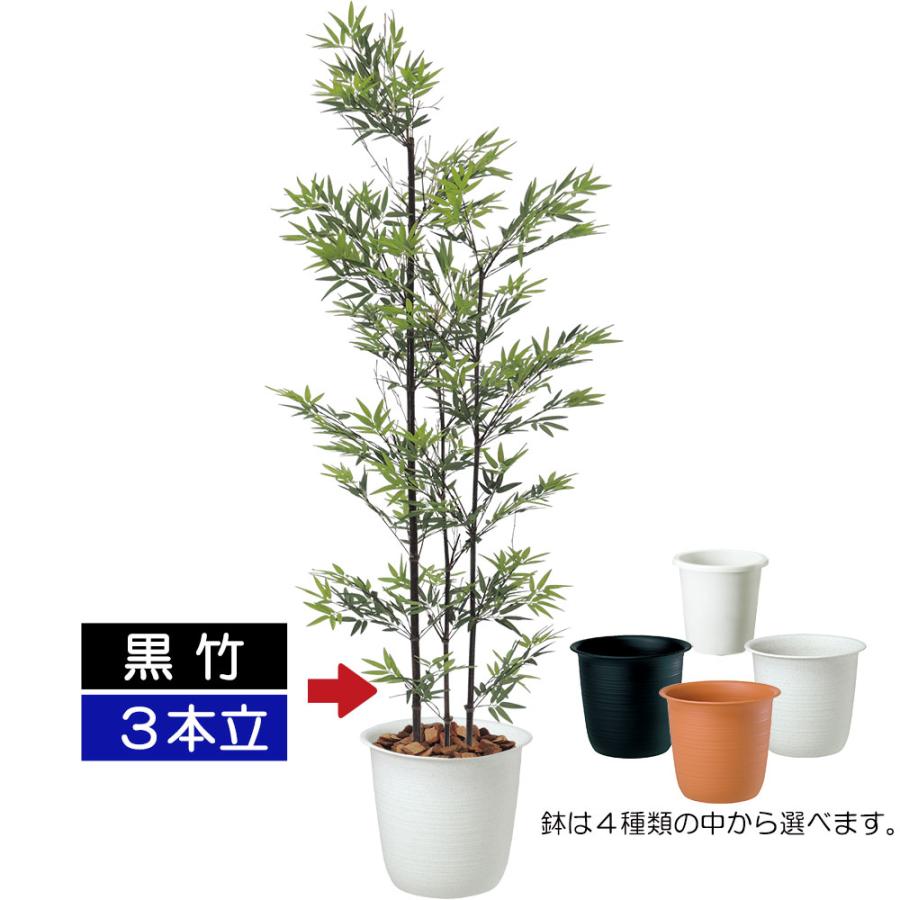 観葉植物 黒竹　マルニ 黒竹 観葉植物 おしゃれ 人気 人工観葉植物 インテリアグリーン