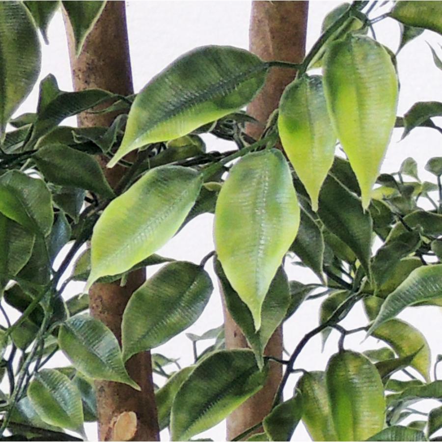 光触媒　人工観葉植物　ウォールグリーン　フェイクグリーン　ベンジャミン180 光触媒 光の楽園 ベンジャミン 高さ 1.8m【インテリア フェイク
