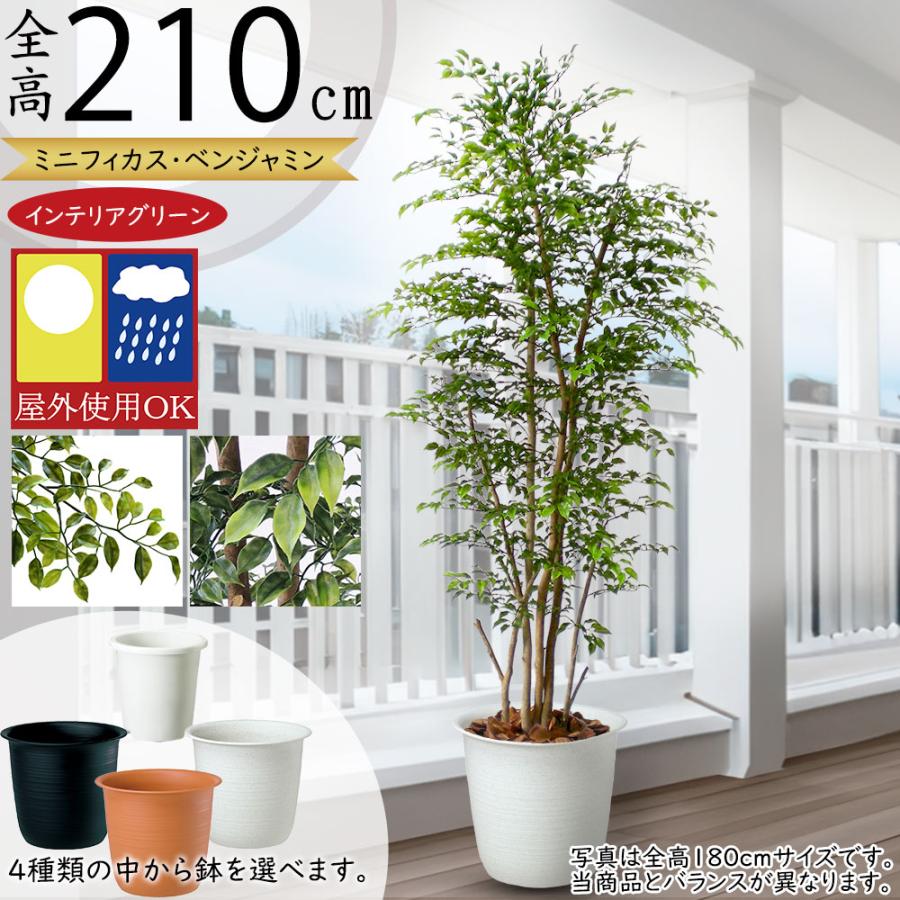 インテリアグリーン 屋外用 大型 おしゃれ 人気 リアル おすすめ 