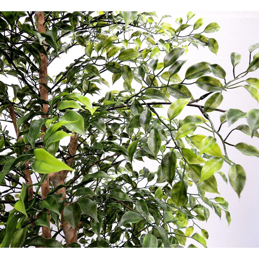 再入荷 アートナップ 508f500 人口樹木 フィカスベンジャミン1 8m植栽付 短納期 早者勝ち Ipripak Org