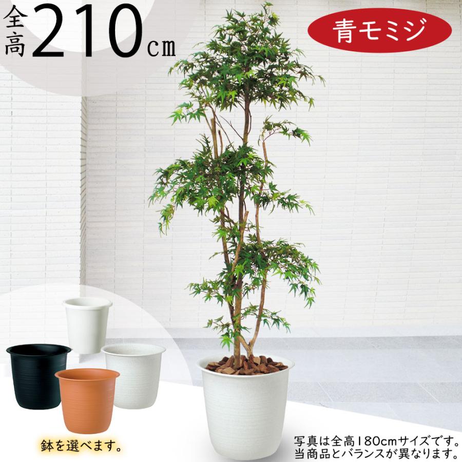もみじ モミジ 大型 青紅葉 おしゃれ インテリアグリーン フェイク