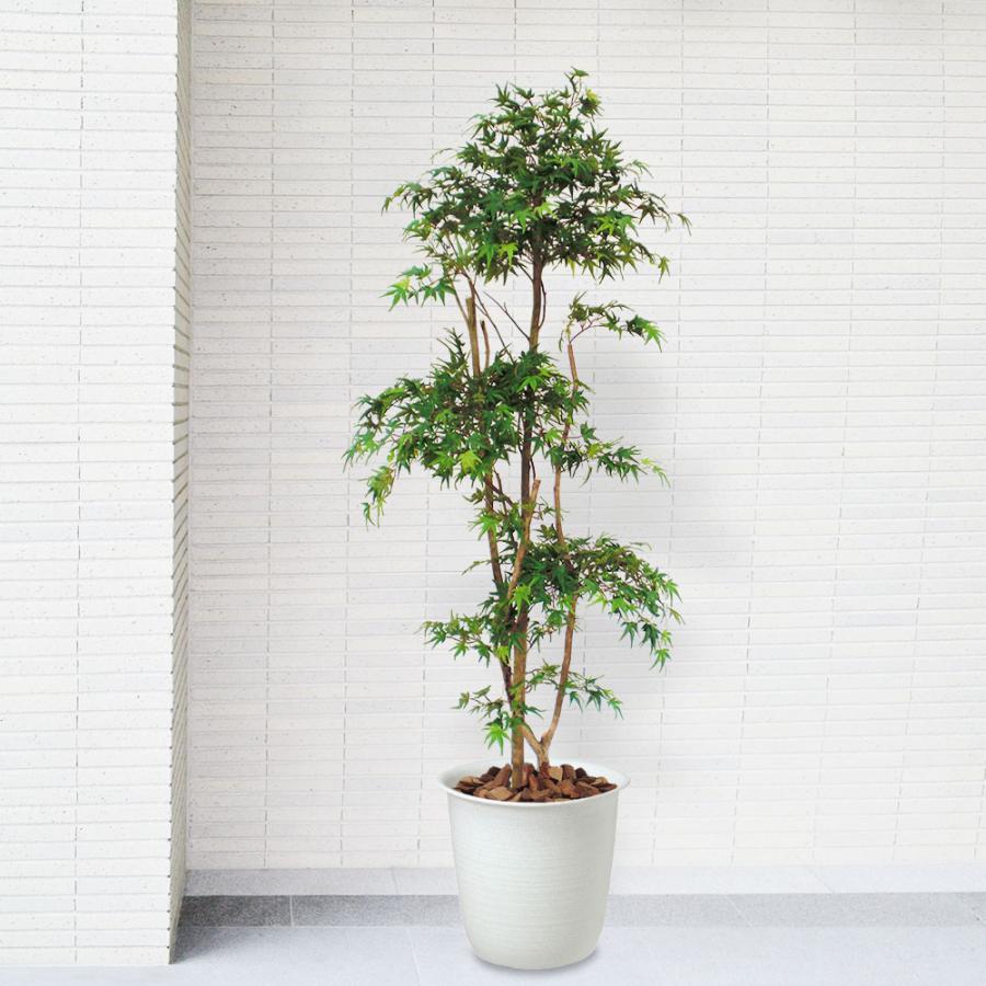もみじ モミジ 大型 青紅葉 おしゃれ インテリアグリーン フェイク