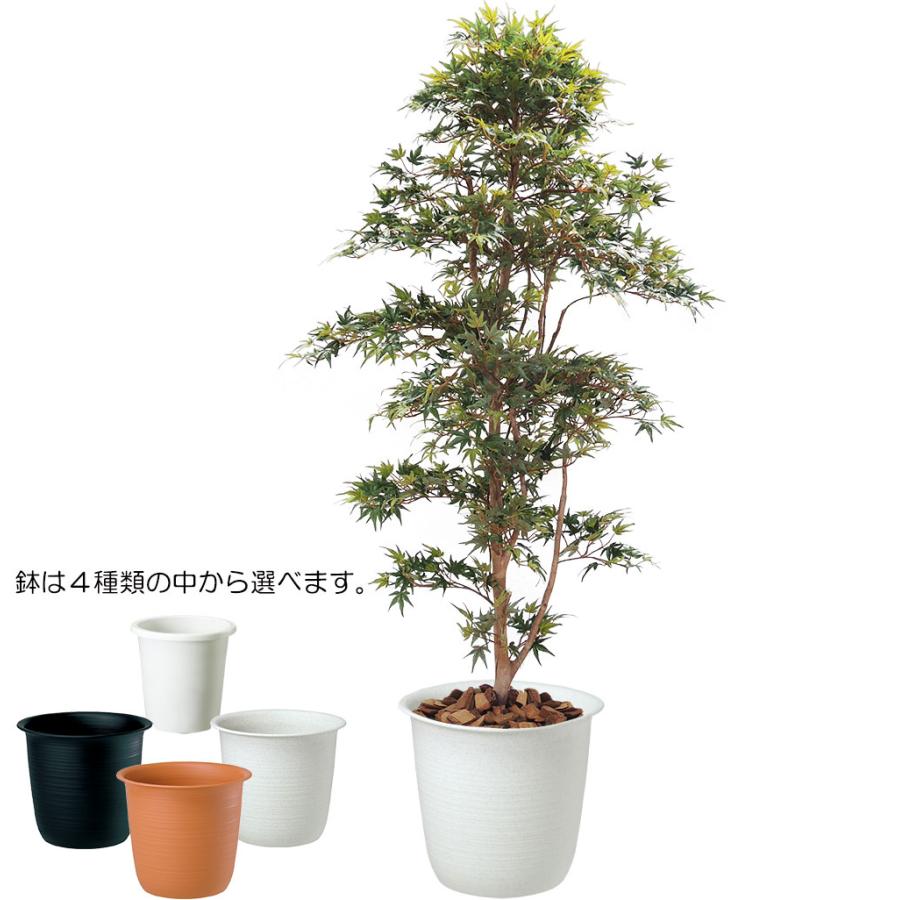 もみじ モミジ 大型 青紅葉 おしゃれ インテリアグリーン フェイク