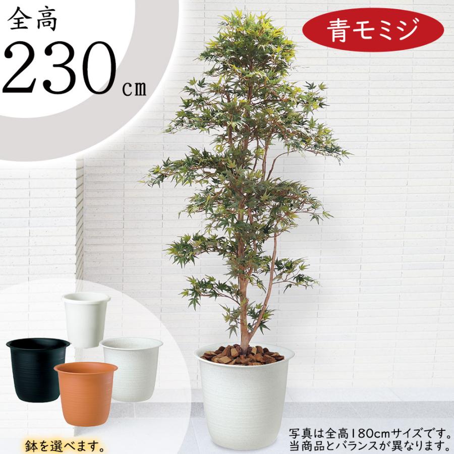 光触媒人工観葉植物フェイクグリーンヤマモミジ RED コアッド 230