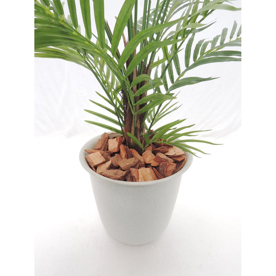 アレカヤシ 観葉植物 大型 人気 おしゃれ インテリアグリーン アレカヤシ 観葉植物 大型 人気 おしゃれ インテリアグリーン