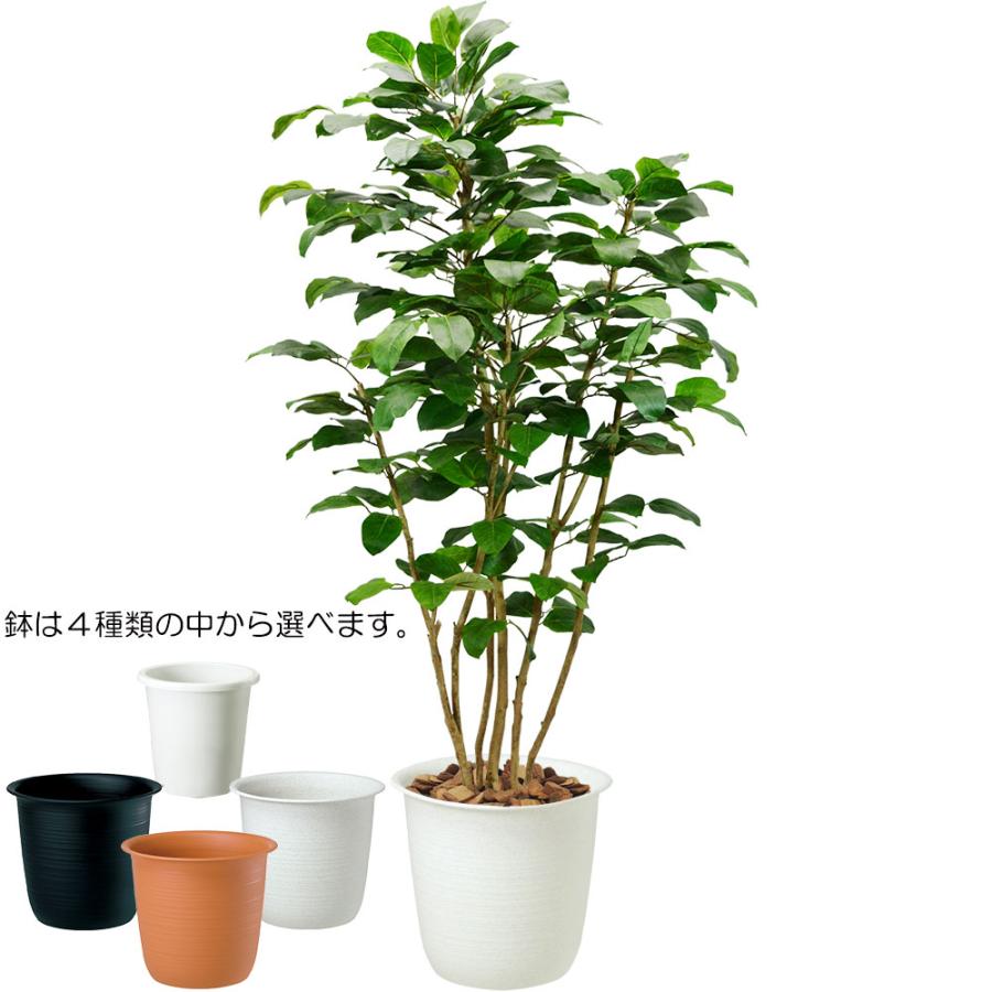 フェイクグリーン 大型 おしゃれ 人気 観葉植物 インテリアグリーン