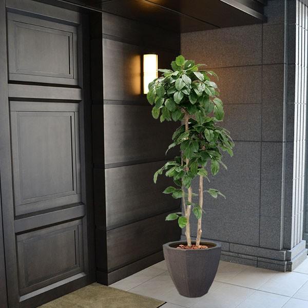 ⑨【処分価格】新品 バナナツリー4本 お買い得♪ フェイクグリーン