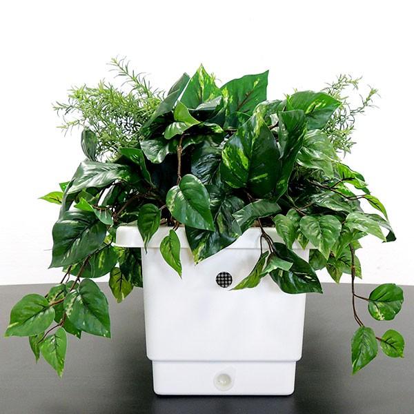 アレンジ 屋外対応 グリーンミックスプランター B 全高45cm 全幅90cm 奥行45cm ポトス リーフ 野外 室内可 人工観葉植物 造花 Bst0055 B 人工観葉植物と造花の通販ケイシン 通販 Yahoo ショッピング
