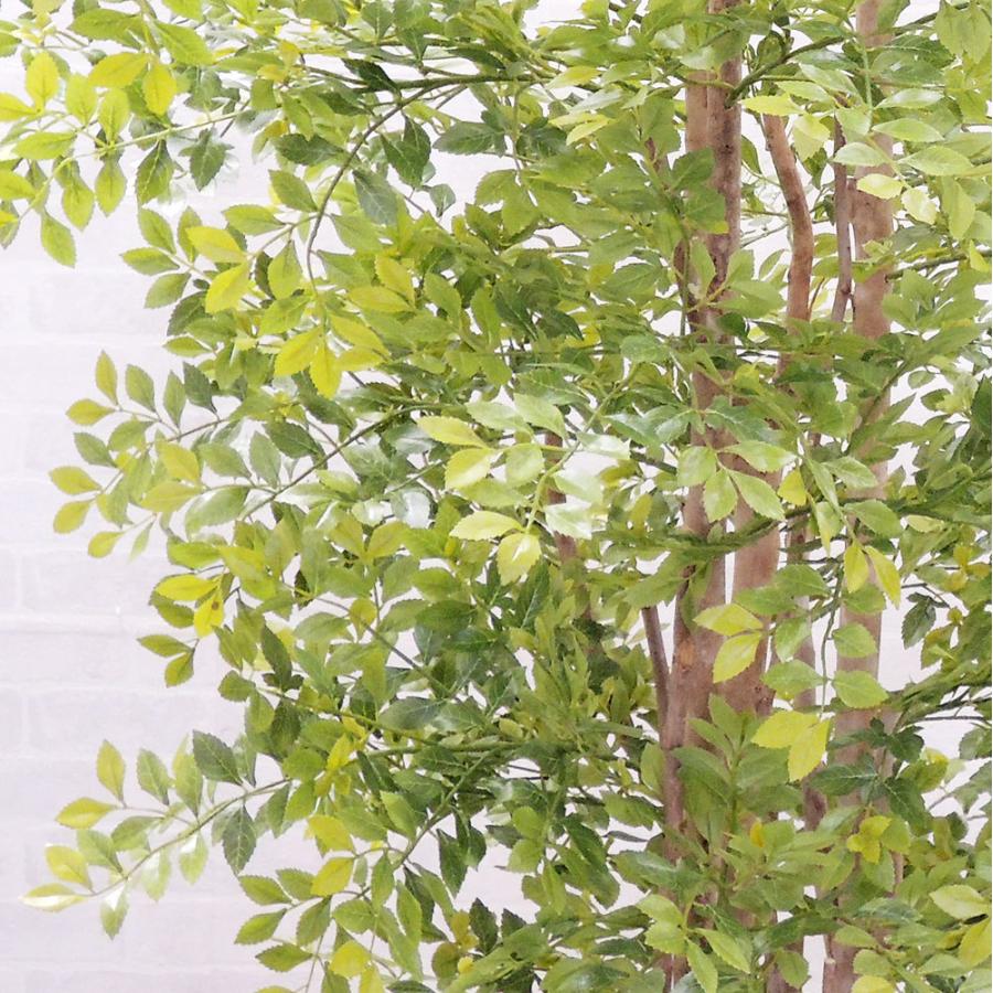 トネリコ 人工観葉植物 全高1.2m ライトグリーン(シマトネリコ ゴールデンリーフ 人工樹木 造花 フェイクグリーン) bst0066
