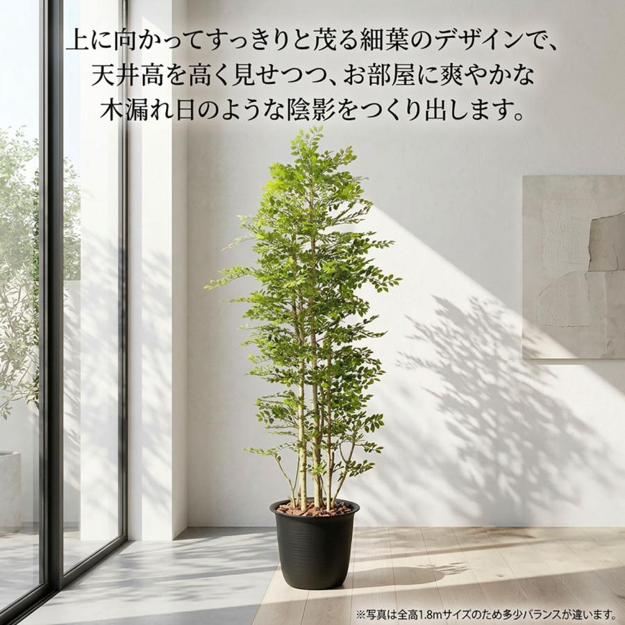 トネリコ フェイクグリーン 大型 人気 人工観葉植物 おしゃれ リアル