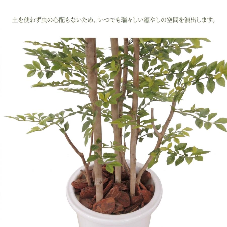 トネリコ フェイクグリーン 大型 人気 人工観葉植物 おしゃれ リアル