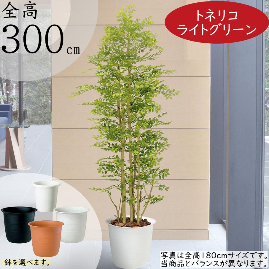 【直接引き取りのみ】トネリコ　大型　観葉植物　園芸用品セット トネリコ フェイクグリーン 大型 人気 人工観葉植物 おしゃれ リアル