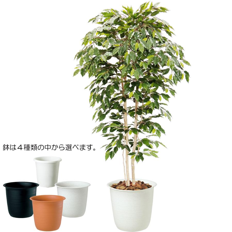 ベンジャミン 人気 おしゃれ フェイクグリーン 大型 観葉植物
